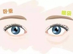 什么是卧蚕？卧蚕该怎么画？