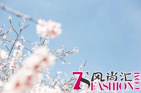 春日女神养成记 从AENO玻尿酸原液开始吧