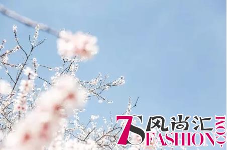 AEON玻尿酸原液，让你的肌肤如桃花般魅力绽放