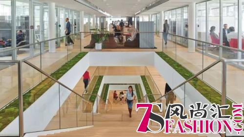 减压、心灵净化的奥义——让办公室回归大自然