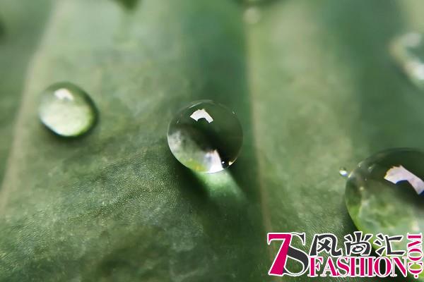 普玛仕：世界水日 肌肤水水更健康