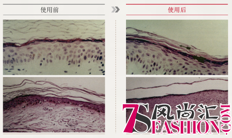 童颜肌肤，逆转时光，CNPRx希恩派奈思沁颜弹力修护精华乳