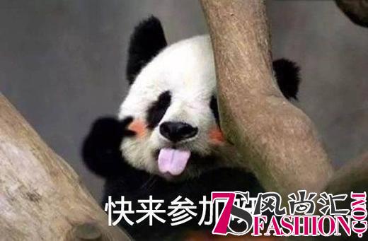 爱随行，panda go！熊猫绘画作品集结令