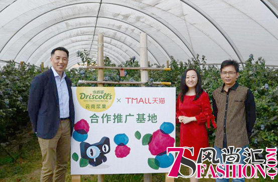 Driscoll’s怡颗莓云南种植基地让你乐享莓好生活