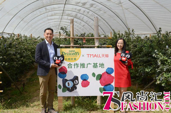 Driscoll’s怡颗莓云南种植基地让你乐享莓好生活
