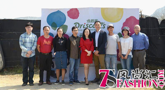 Driscoll’s怡颗莓云南种植基地让你乐享莓好生活