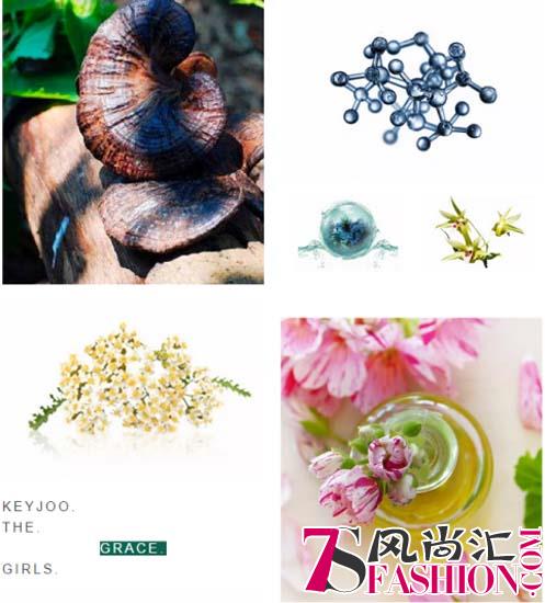 蔻界：温泉补水灵芝养肤，精致女人都在用的面膜