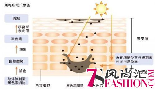 尝试了那么多，究竟美白护肤品哪个牌子好？