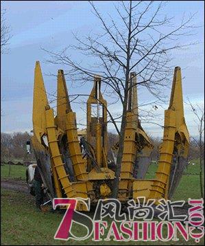 韦元强丰胸