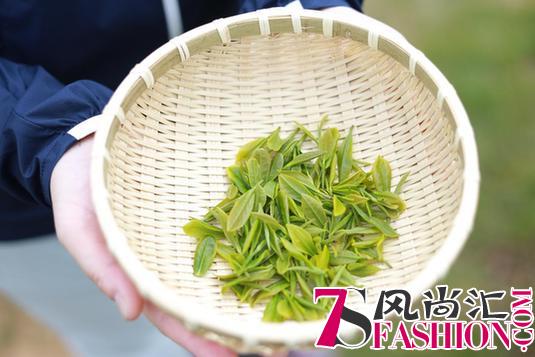 Lafuma仗剑走天涯，徒步看遍景中花