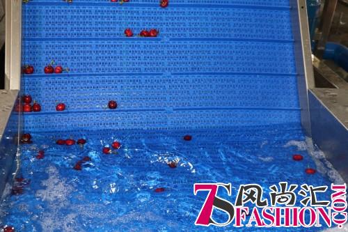 寺库农业用极品樱桃开启属于你的夏天味道！