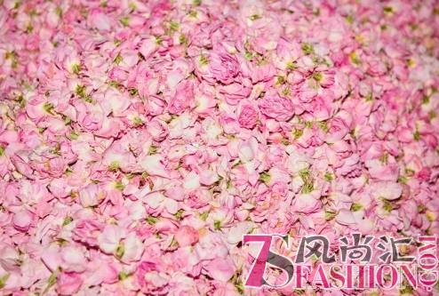 探寻芳香源头，精选优质花材，阿芙精油一切为你