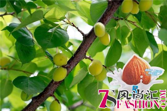 露露为何成为营养佳选？