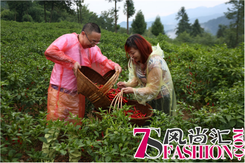 重庆美食文化新地标—“枇杷山86号”