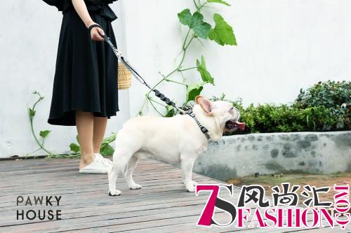 轻奢+遛狗，原来我们还可以这样刷爆时髦度