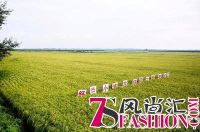 贝店牵手米小芽，这个奥运冠军投资的品牌究竟有何魅力