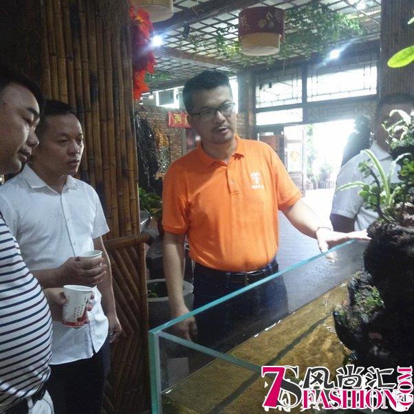 厦门台商林陈国豪：把牛樟芝文化带给大陆