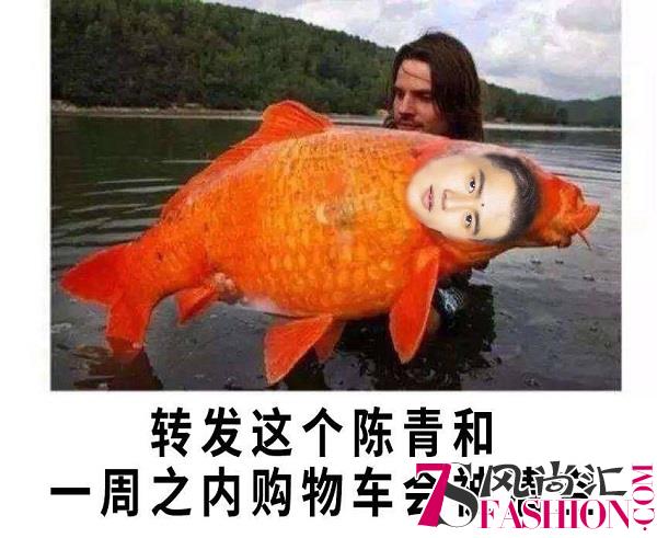 淘宝集流星卡今晚24点截止，集齐21张必中清空购物车！