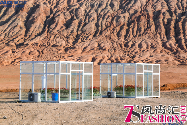 戈壁上的玫瑰园！奥克斯挑战火山高温