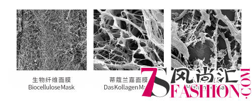 真正逆转肌龄?德国骨胶原护肤品牌BEQUELLE,为青春按下暂停键!