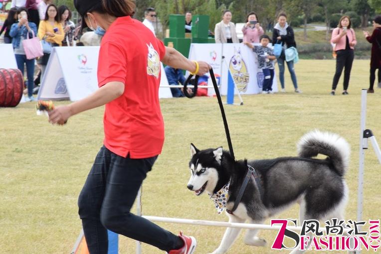 麦德氏宠物营养品参与2018南京银杏湖宠物嘉年华