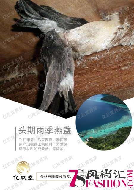 亿玖堂:“炖入爱，心自在”只为做一款有温度的燕窝