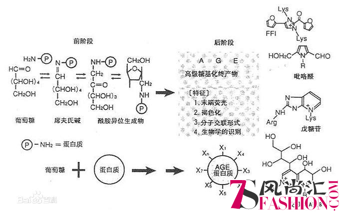 基漾抗糖化，逆转皮肤初老