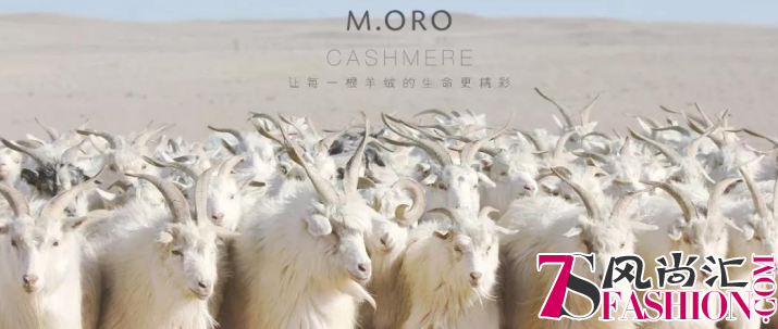 MORO CASHMERE2019羊绒成衣大秀丨美纤羊绒纺织科技再登时尚新高度