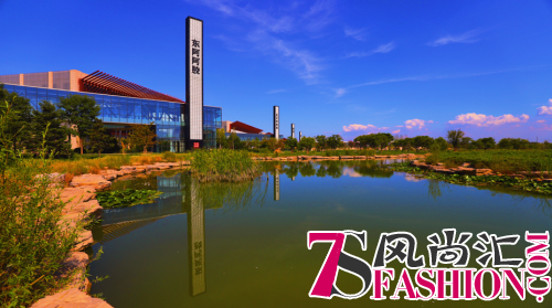 东阿县打造“阿胶名城·康养东阿” 特色旅游品牌