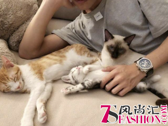 易烊千玺天猫双11狂欢夜彩排：有9只猫了，双11买了高科技猫砂盆