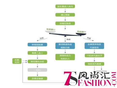 基漾益生菌基活饮 抗糖不止于皮肤