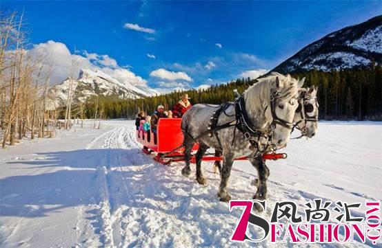 北半球雪季到来，皇包车旅行令冬日境外游“恒温”