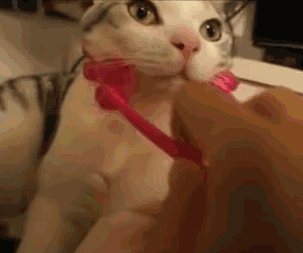 微信图片_20181123161648.gif