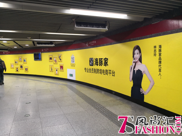 恭喜会员制电商平台海豚家喜提志玲姐姐