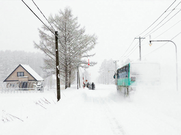 冬天的北海道，美的就像一部浪漫电影…