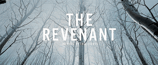 荒野猎人The Revenant (2015)