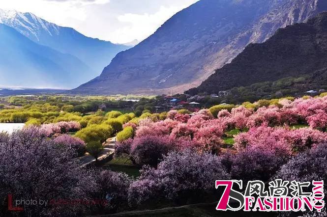 别只顾看油菜花 塞上江南的桃花不该错过的春色