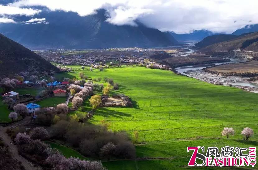 别只顾看油菜花 塞上江南的桃花不该错过的春色