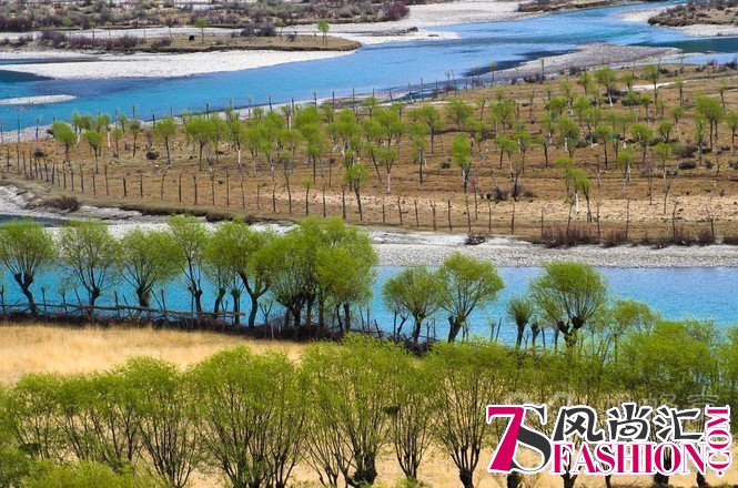 别只顾看油菜花 塞上江南的桃花不该错过的春色