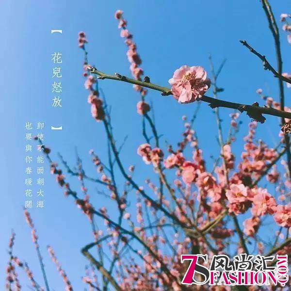 你想要的春风十里，都在三月的“花”季里