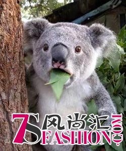  新剧开播|抄袭+神改编 戏外精彩一万倍 
