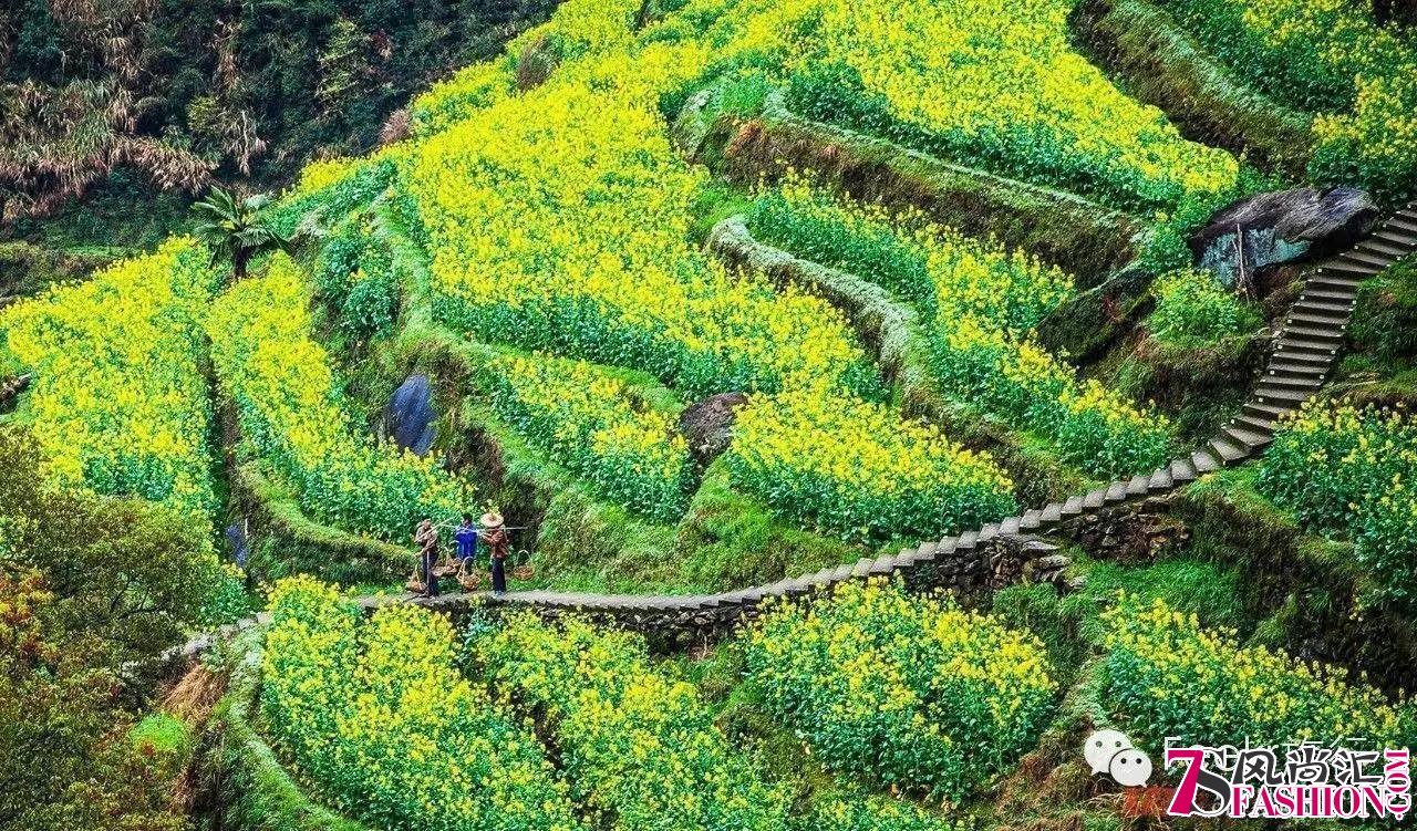 国内4月最佳寻春地 这些秘境你肯定不知道