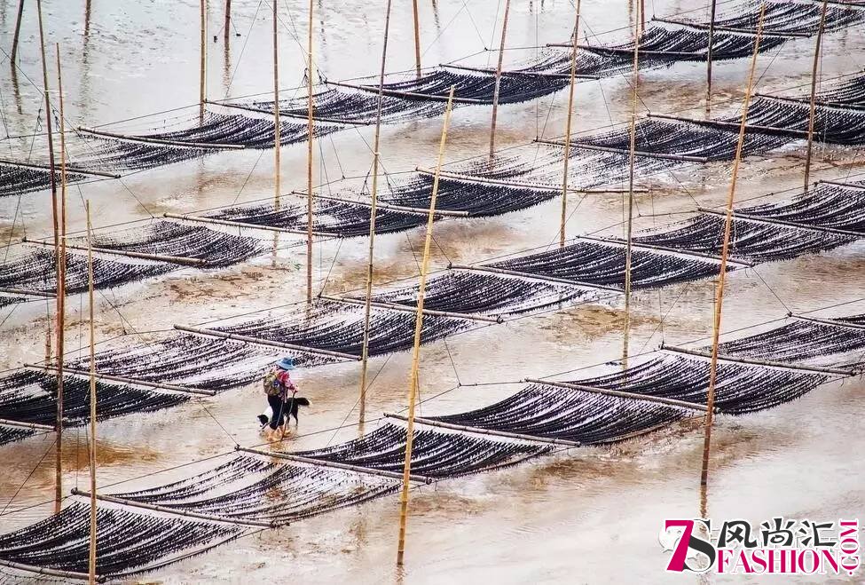 国内4月最佳寻春地 这些秘境你肯定不知道