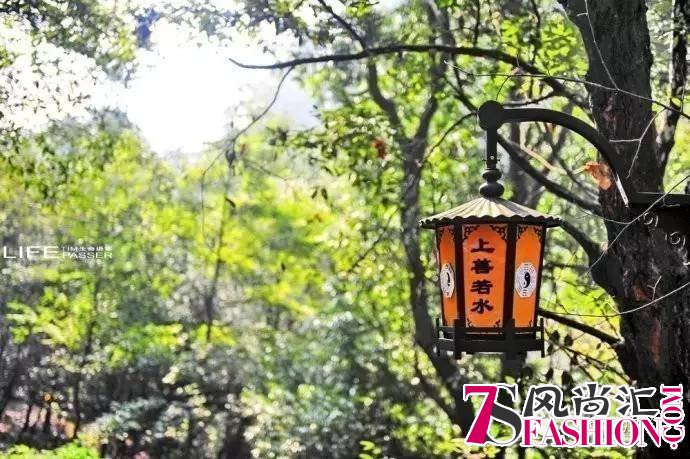 国内4月最佳寻春地 这些秘境你肯定不知道