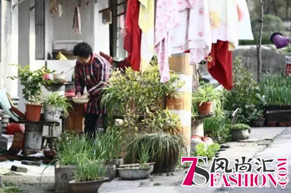 国内4月最佳寻春地 这些秘境你肯定不知道
