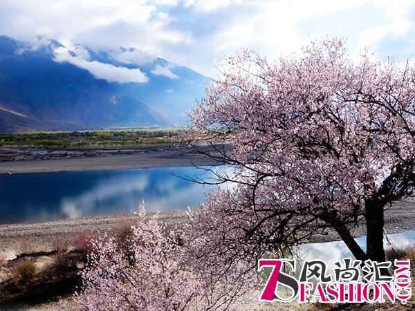 四月最佳旅行地榜单 玩转整个春天