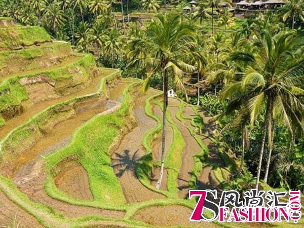 四月最佳旅行地榜单 玩转整个春天