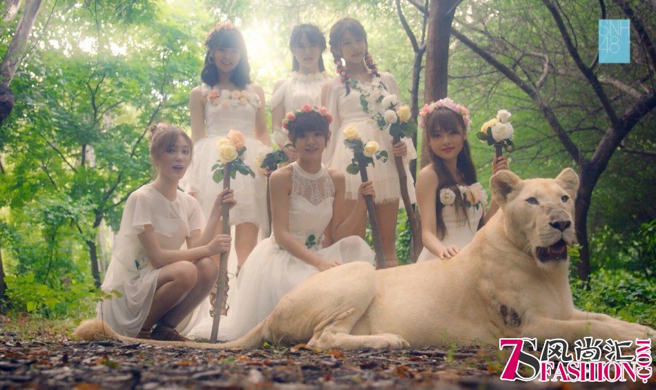SNH48泳装MV《梦想岛》首发 开启冒险之旅
