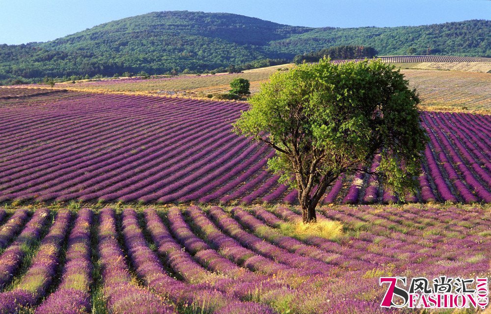 6月最佳旅行地榜单 在对的时间遇见对的风景