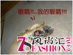 QQ图片20160531092556.jpg